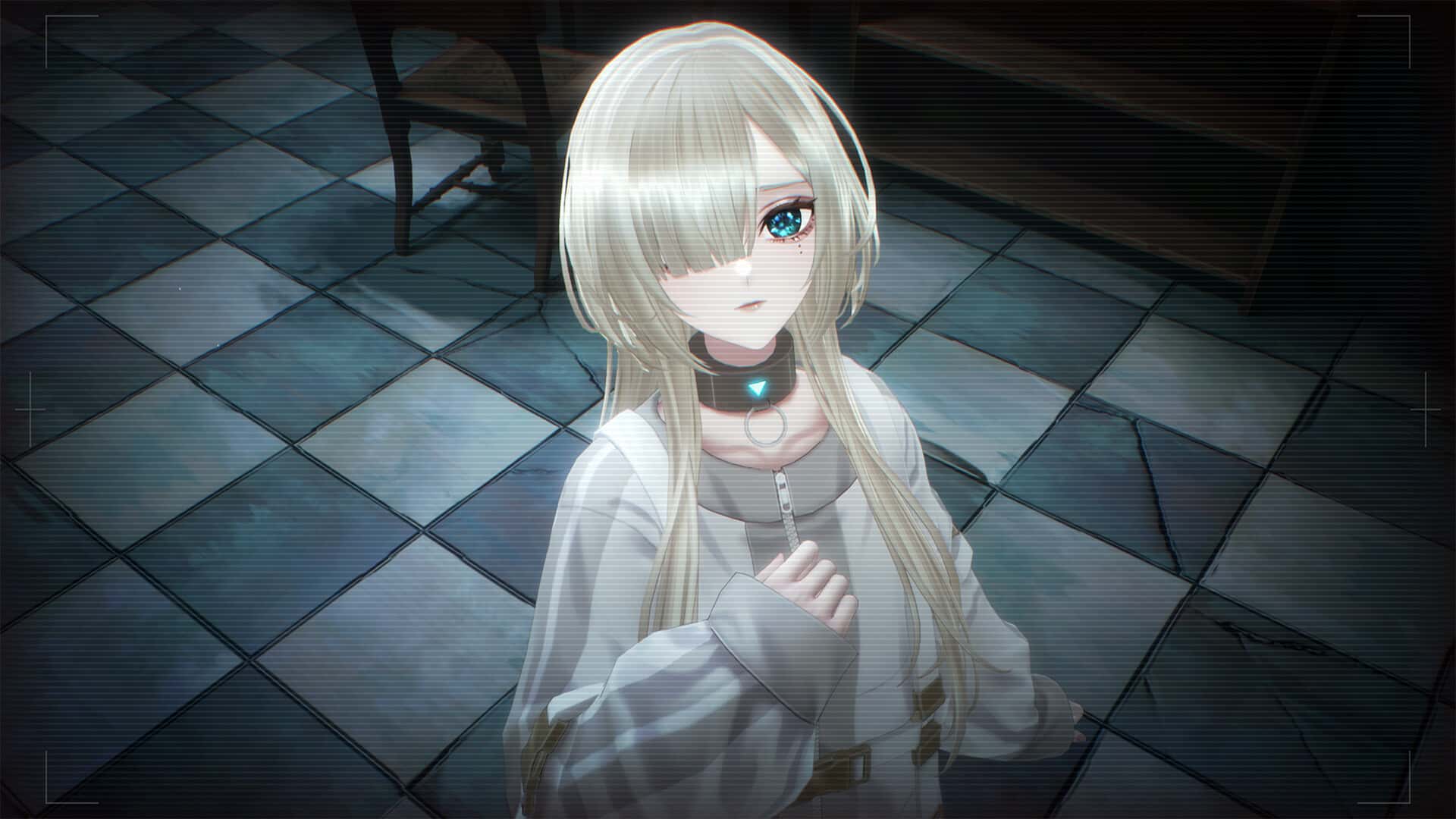 视觉数据3
